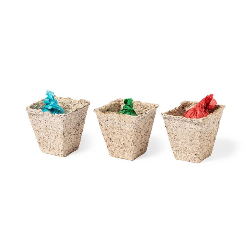 Garden Kit Mendrax