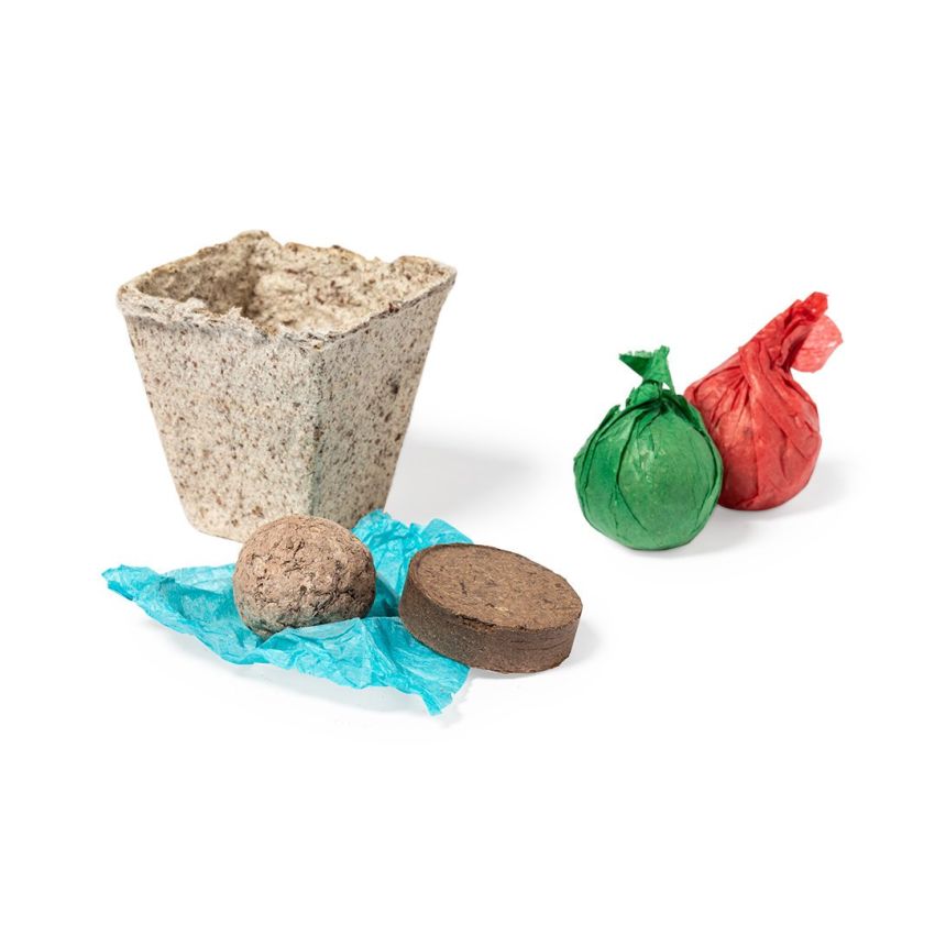 Garden Kit Mendrax