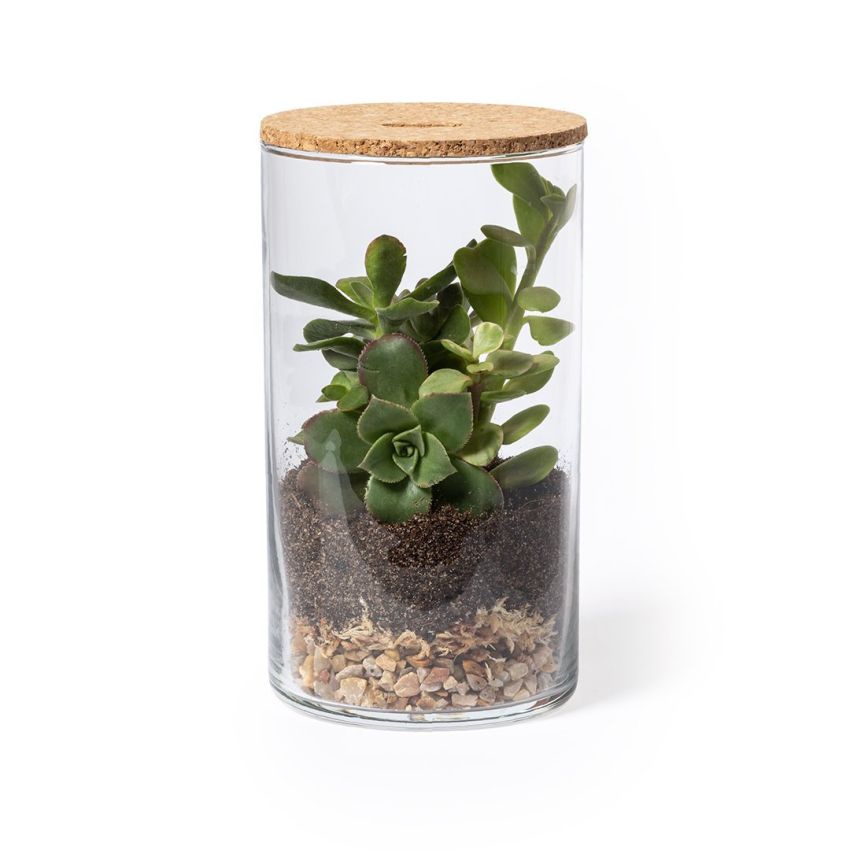 Terrarium Animator