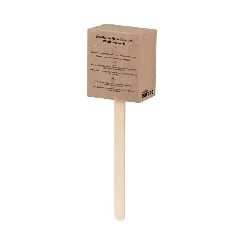 Ebeldy Seeds Lollipop