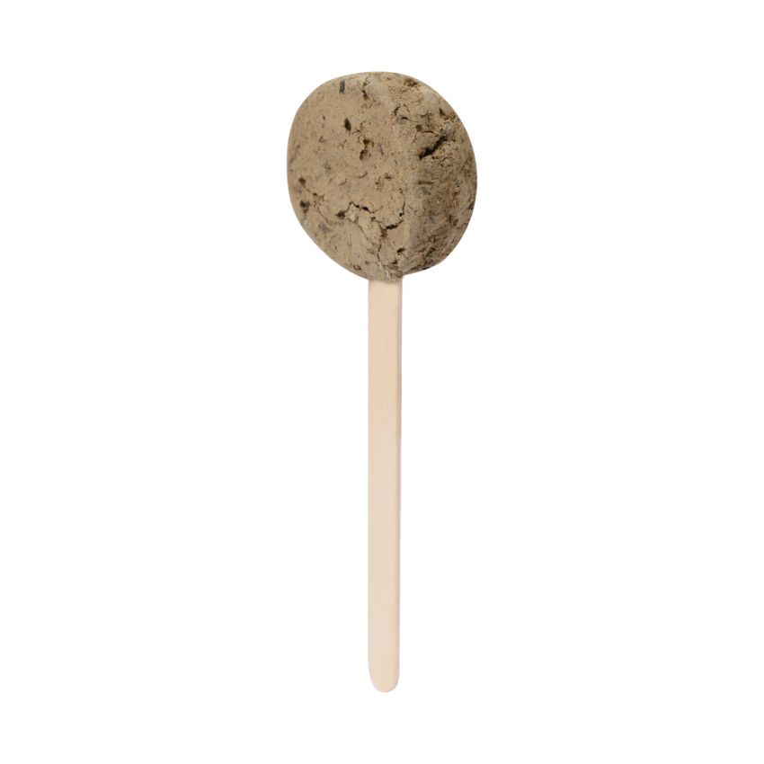 Ebeldy Seeds Lollipop