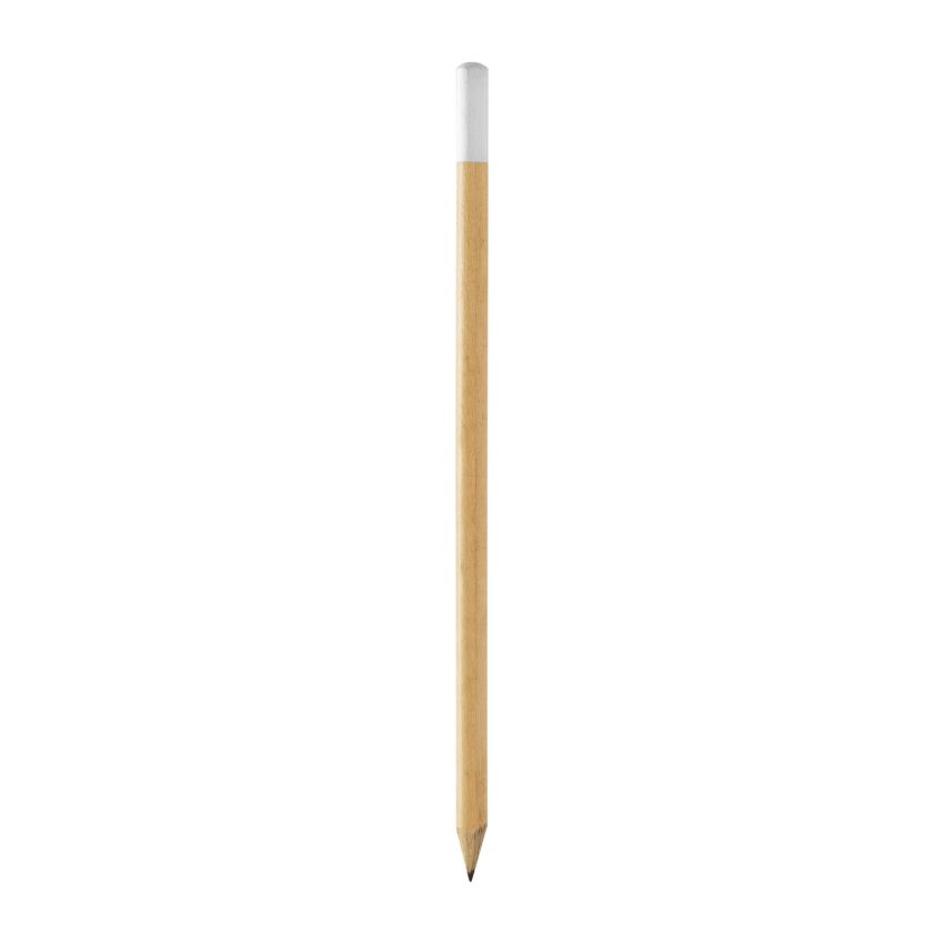 Pinty charcoal pencil with coloured tip