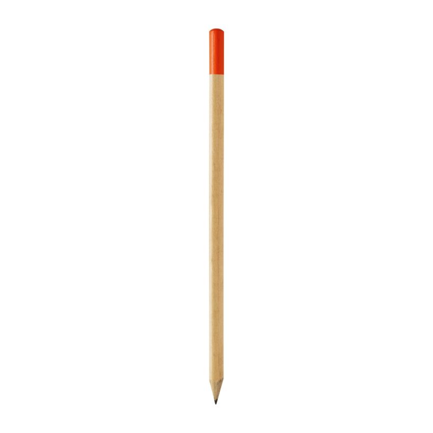 Pinty charcoal pencil with coloured tip