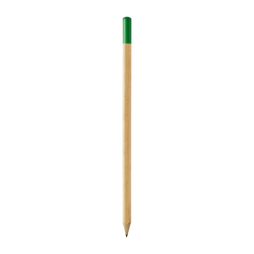Pinty charcoal pencil with coloured tip