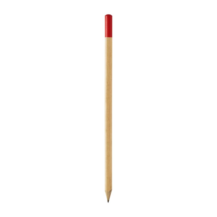 Pinty charcoal pencil with coloured tip
