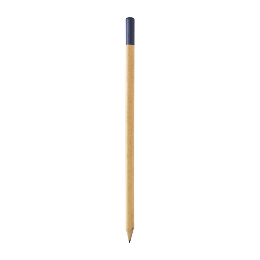 Pinty charcoal pencil with coloured tip