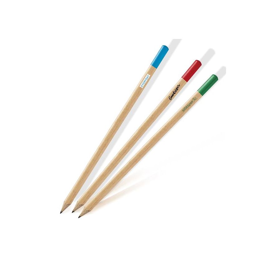 Pinty charcoal pencil with coloured tip