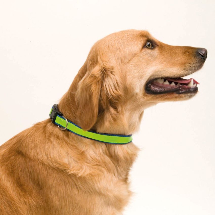 Muttley Necklace
