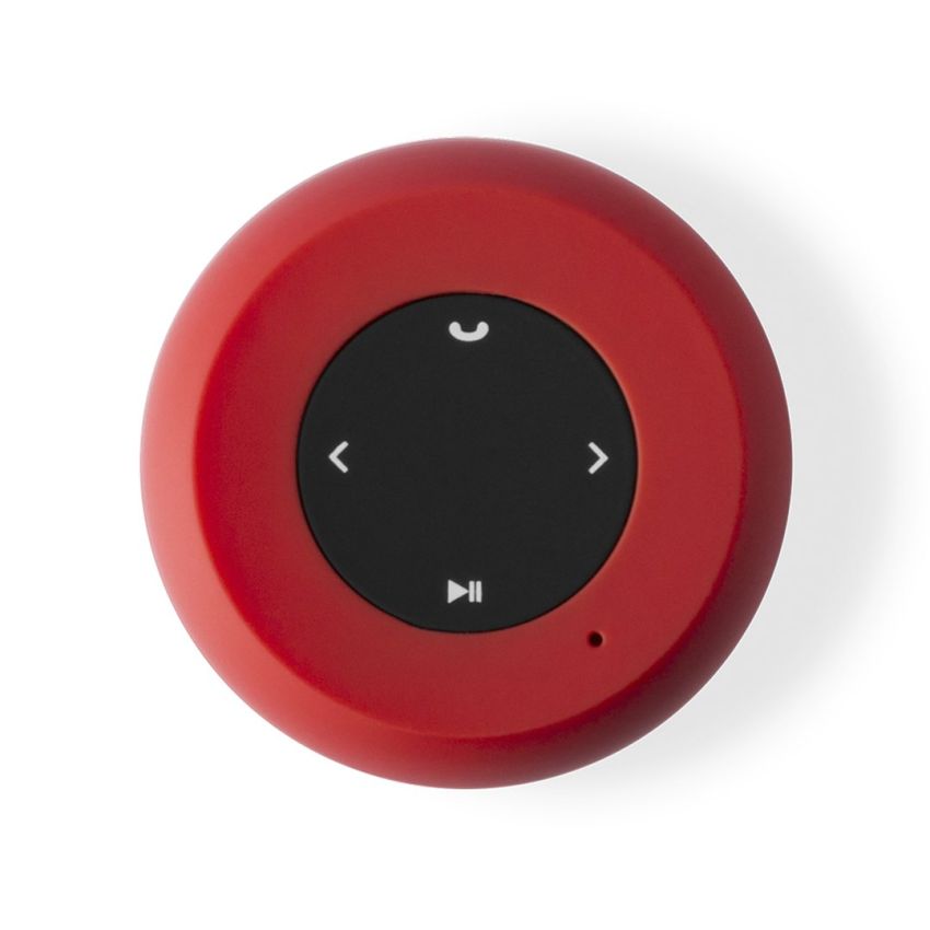Braiss Loudspeaker