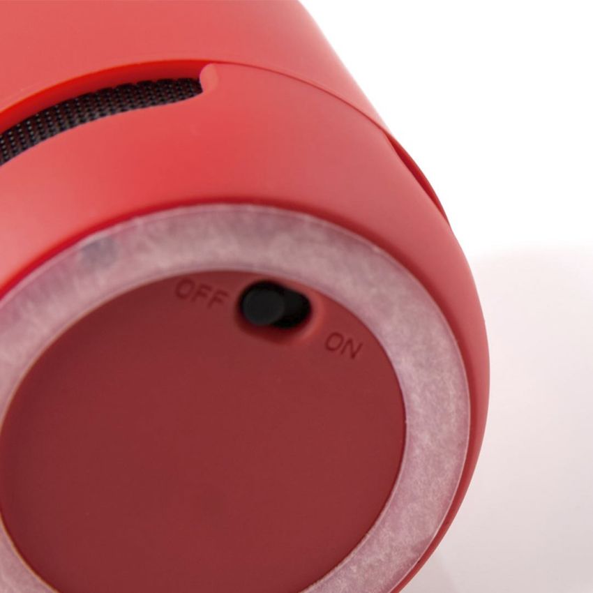 Braiss Loudspeaker