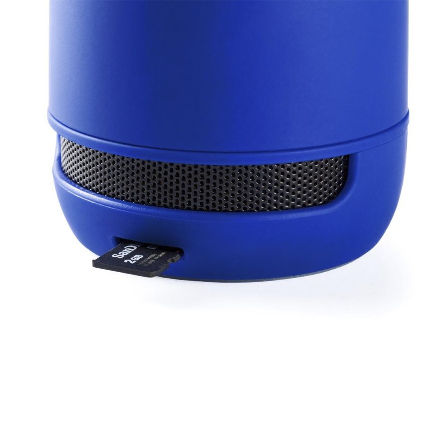 Braiss Loudspeaker