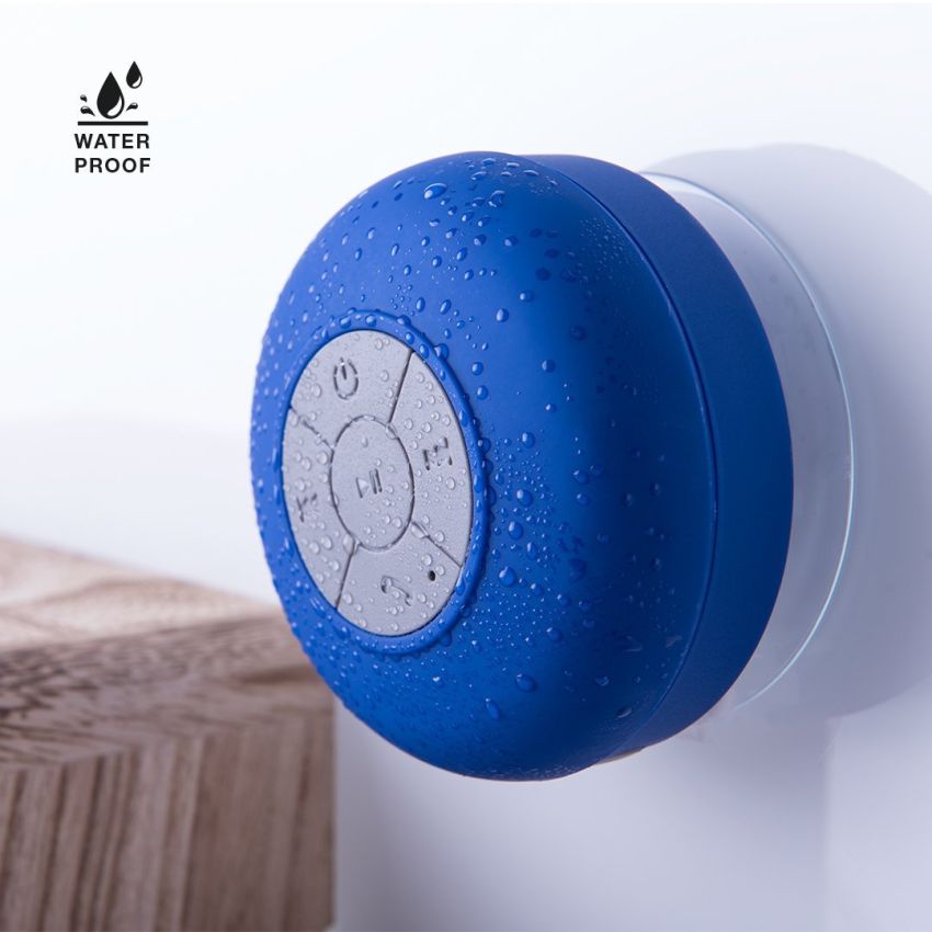 Rariax Loudspeaker