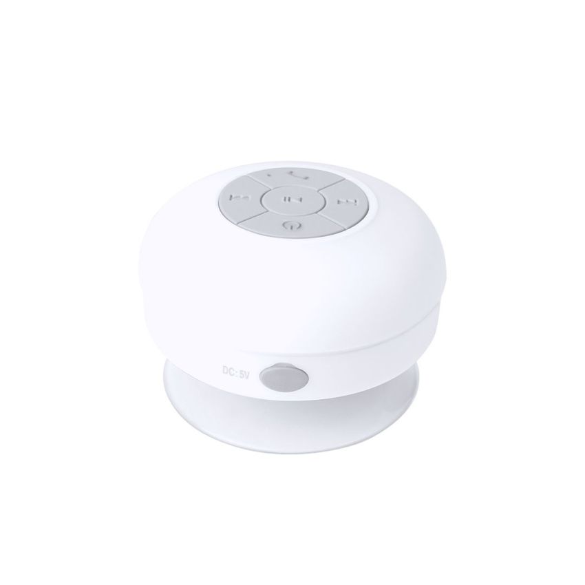 Rariax Loudspeaker