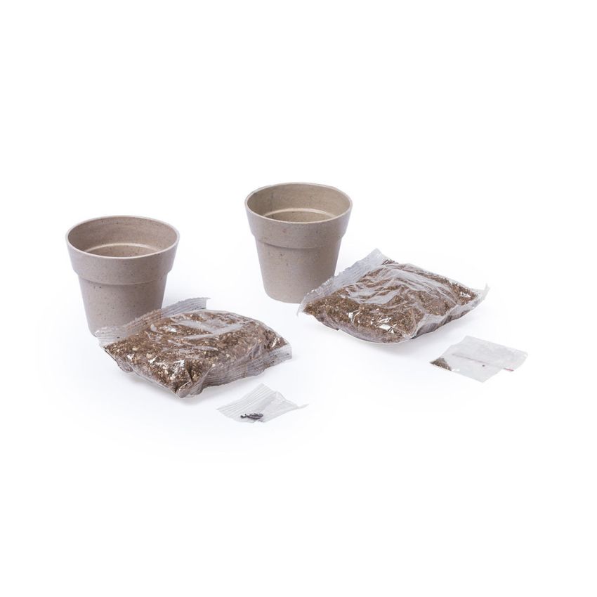 Nertel Glass Set