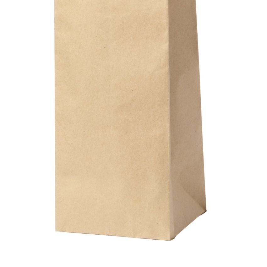 Bag Ragnar