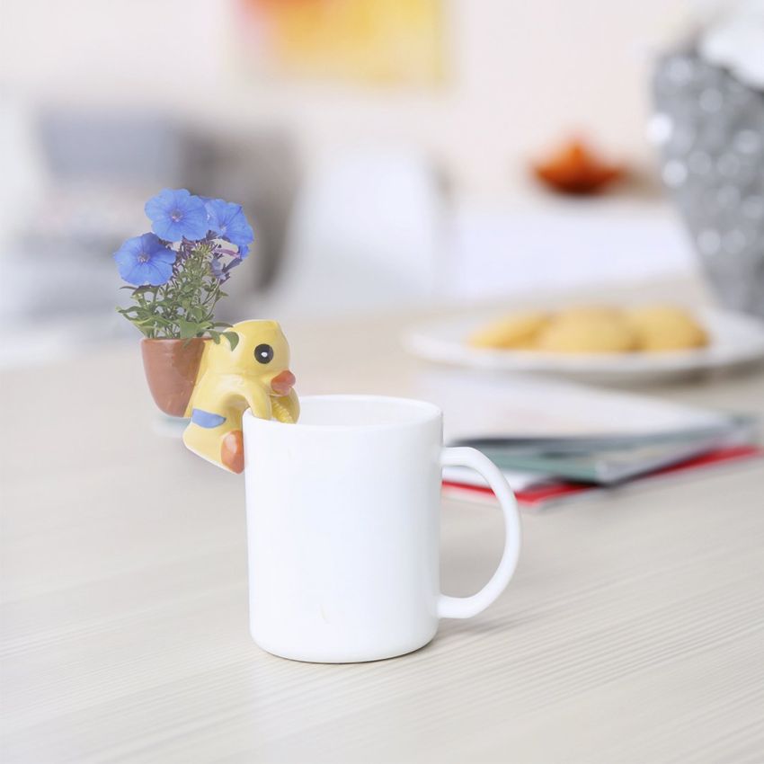 Sippy Cup