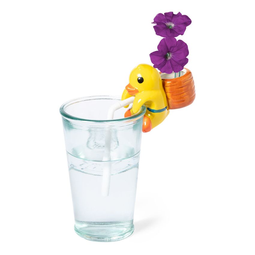 Sippy Cup