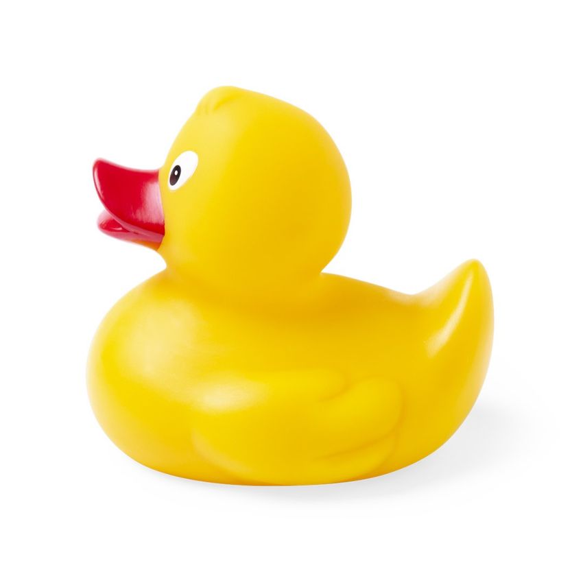 Koldy Duck