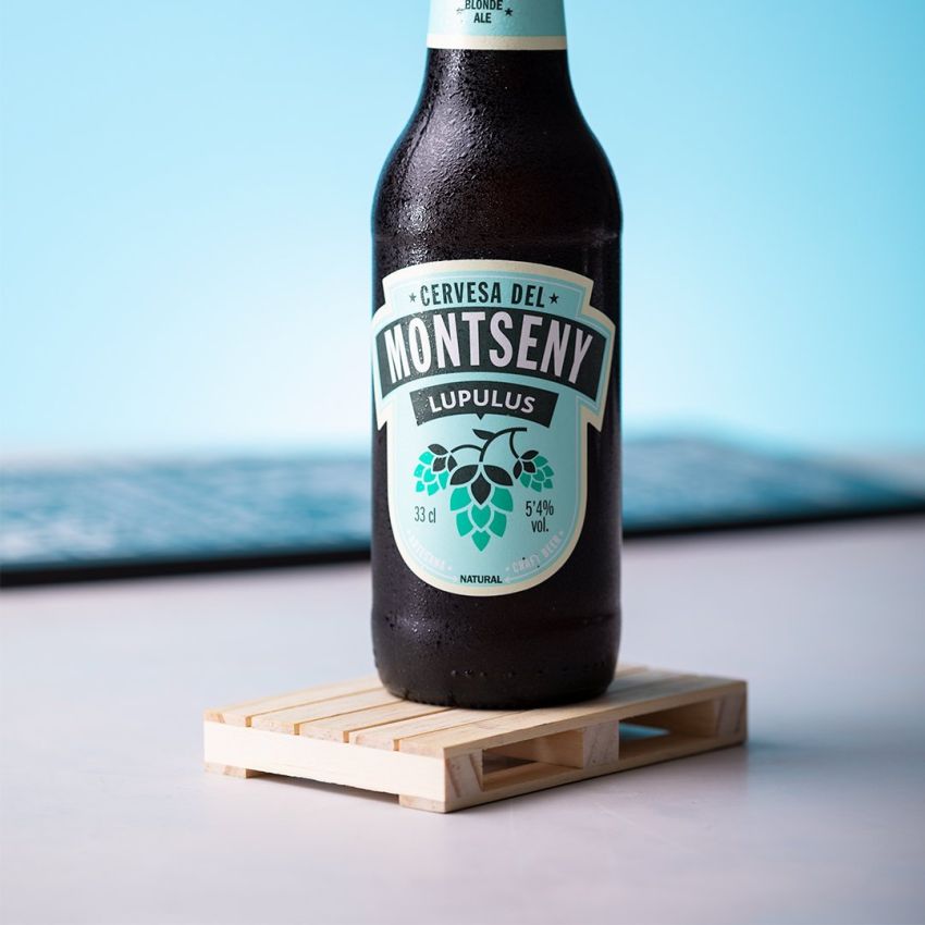 Pallet Coaster Bases
