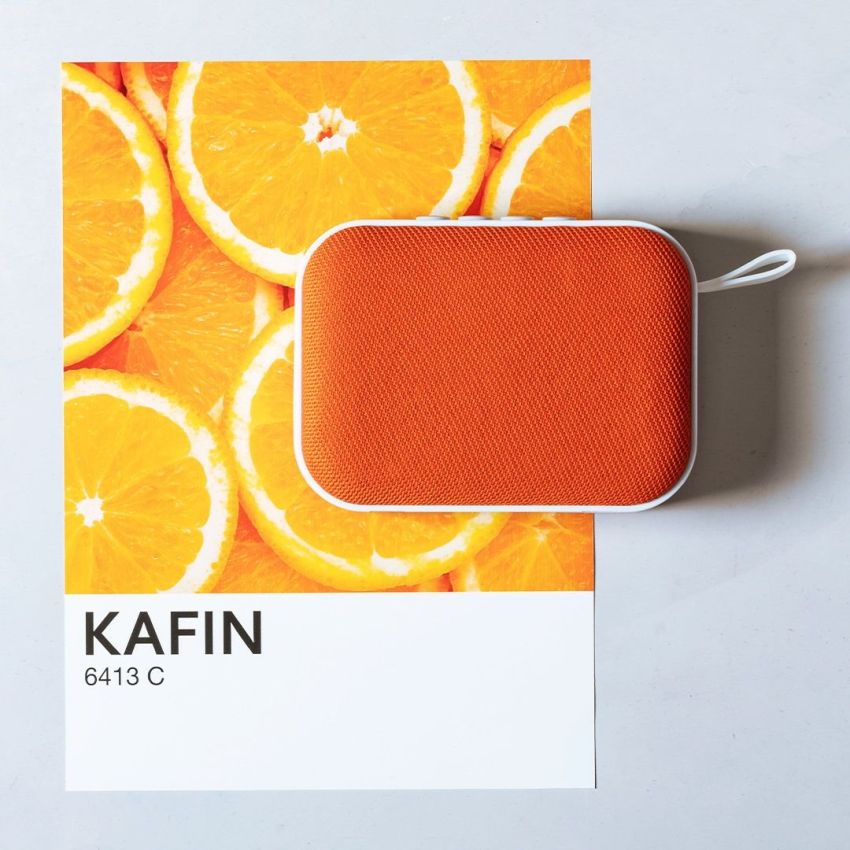 Loudspeaker Kafin