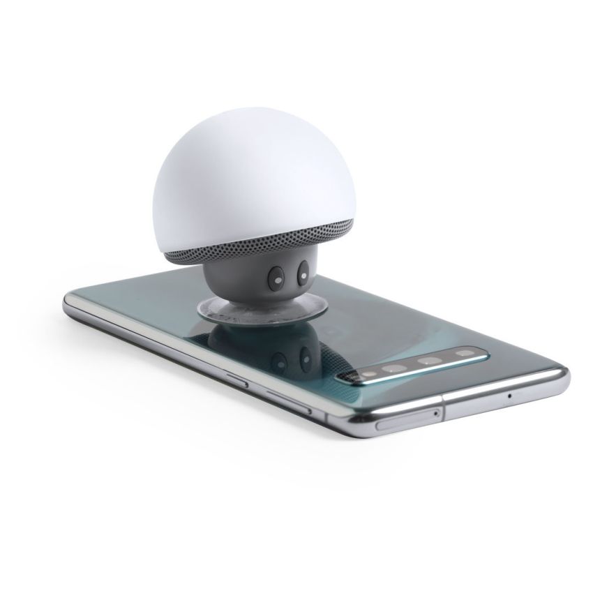 Wanap Loudspeaker