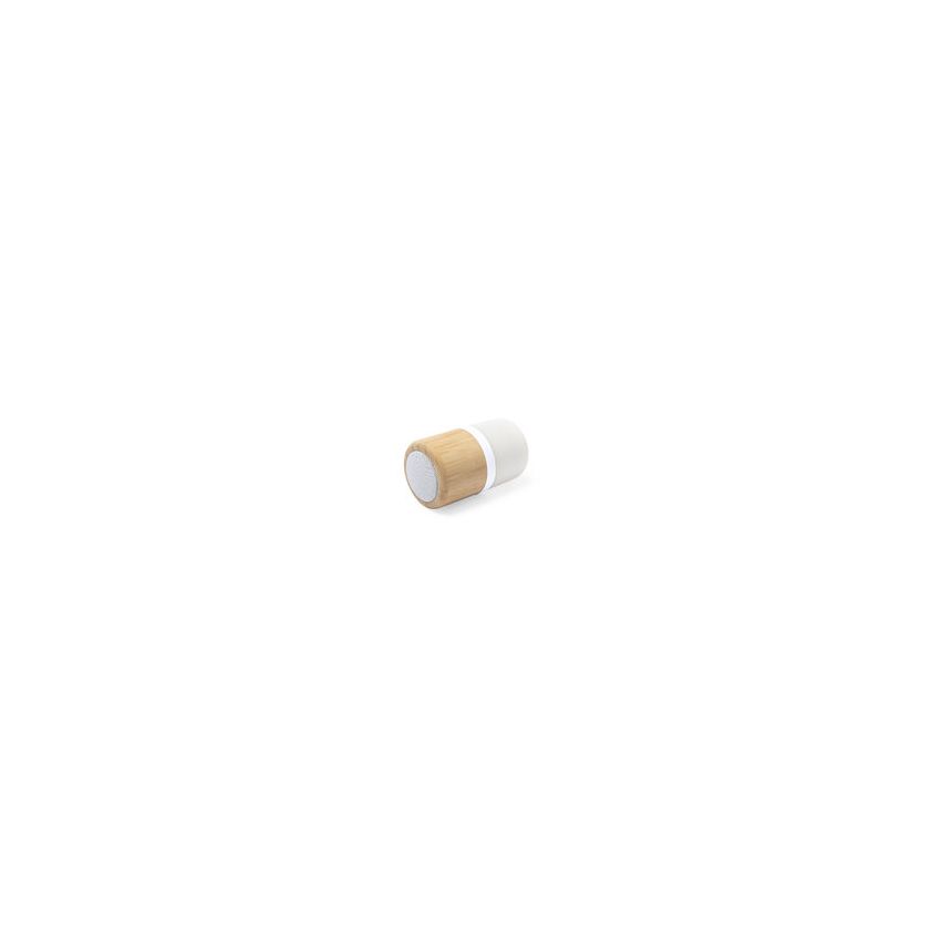 Kevil Loudspeaker