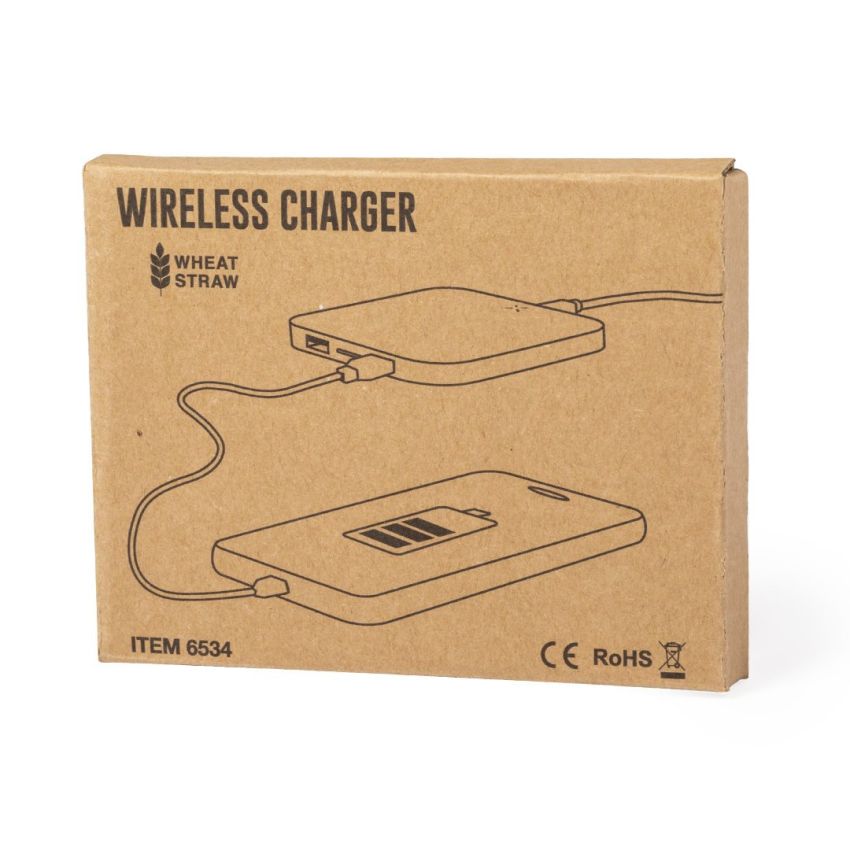 Riens Charger