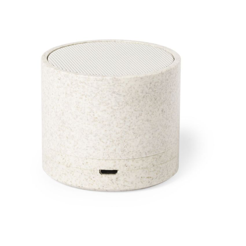 Cayren Loudspeaker