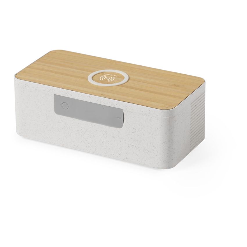 Trecam Speaker Charger