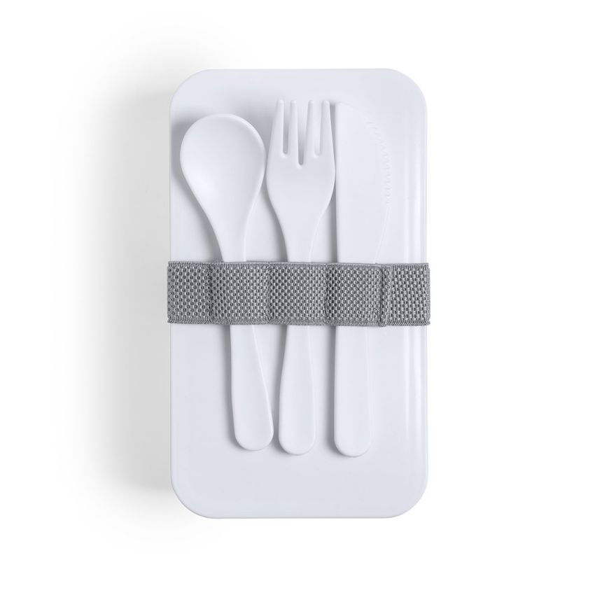 Fandex Antibacterial Lunchbox