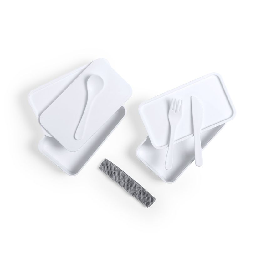 Fandex Antibacterial Lunchbox