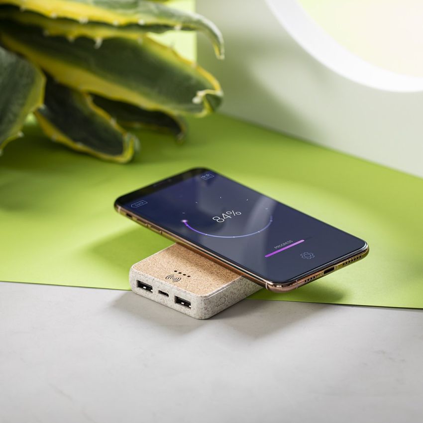 Power Bank Peacock