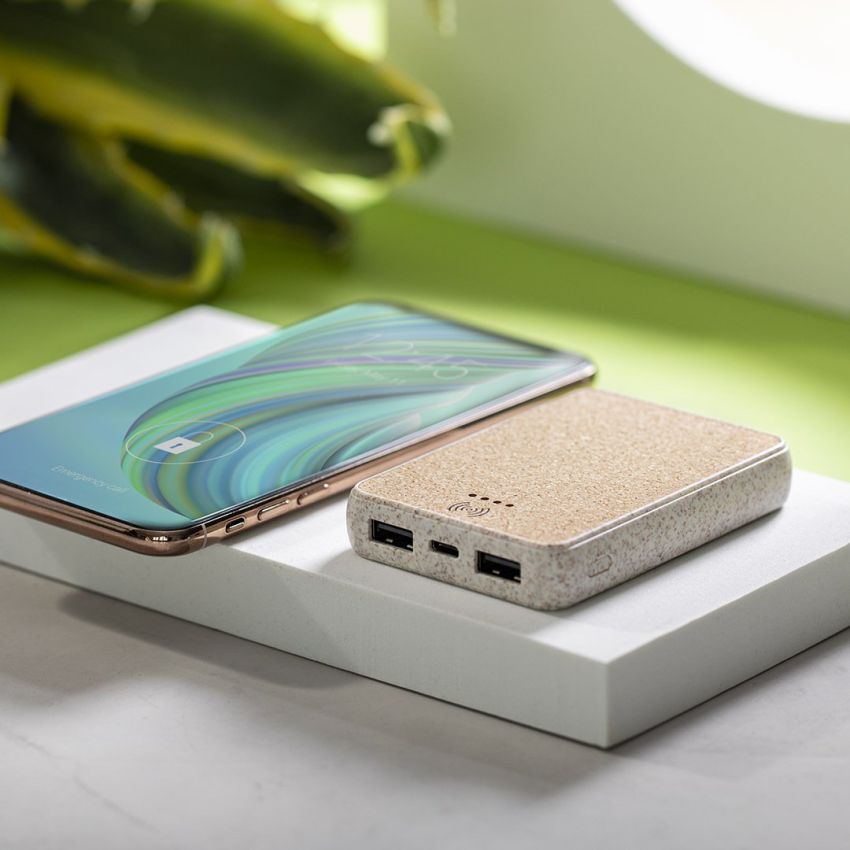 Power Bank Peacock