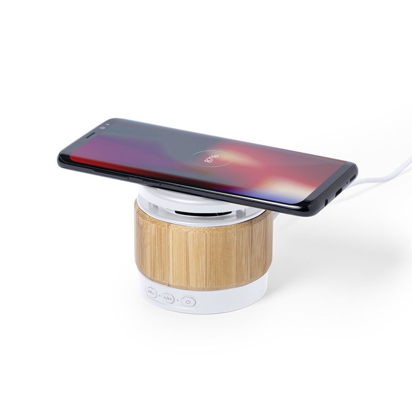 Zakrox Speaker Charger