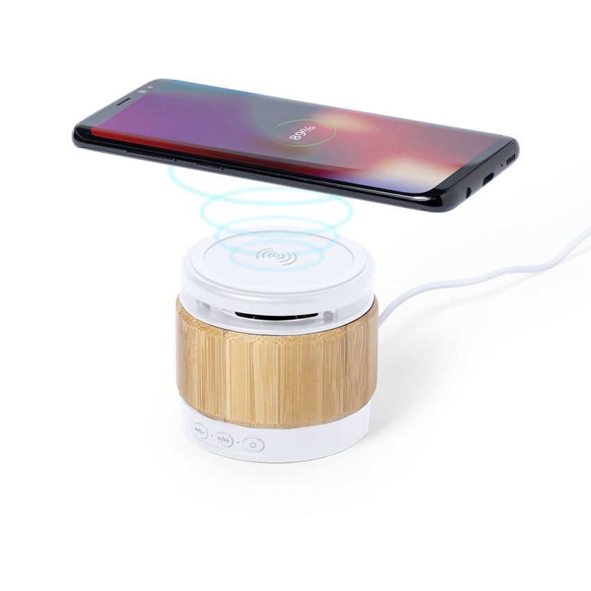 Zakrox Speaker Charger
