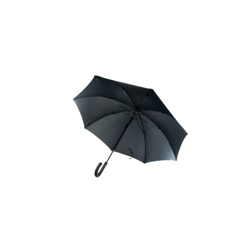 Campbell's Umbrella Tree