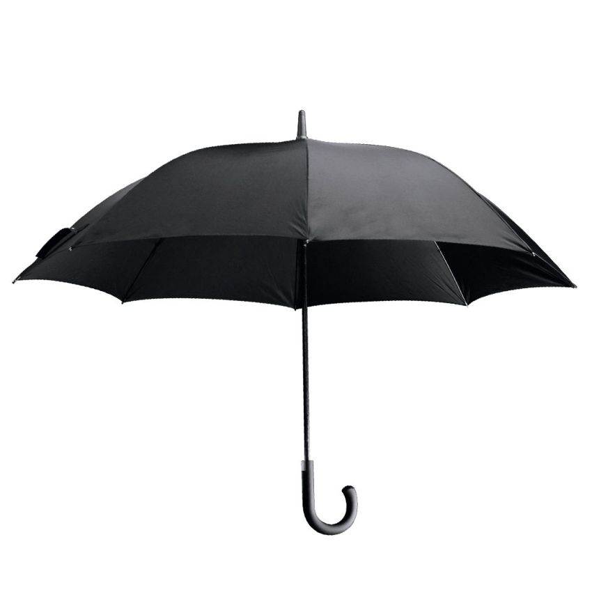 Campbell's Umbrella Tree