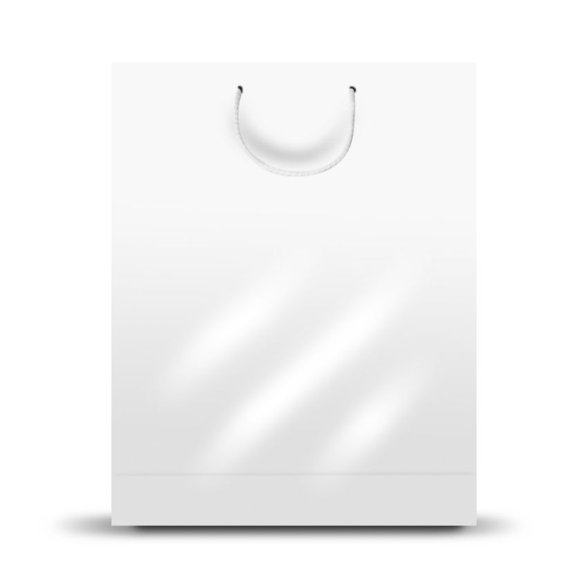 GrandBag Large Paper Sack, Vertical, Shiny