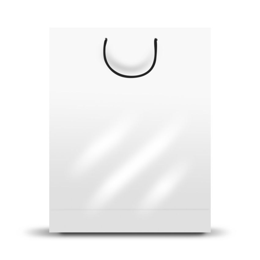 GrandBag Large Paper Sack, Vertical, Shiny