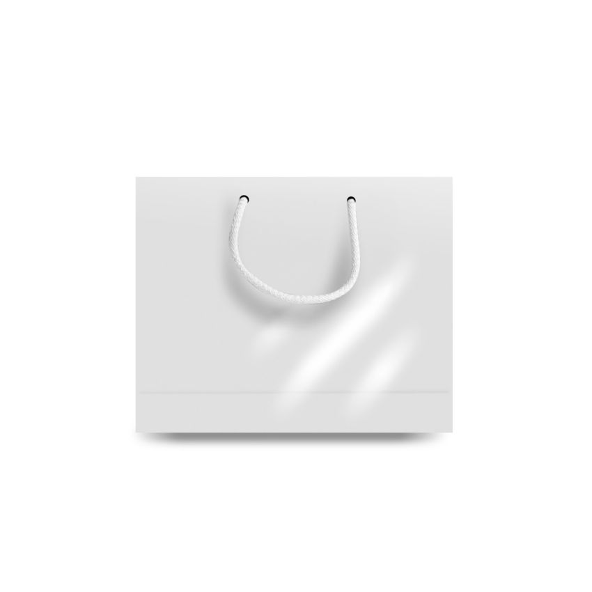 MiniBag Small Paper Bag, Horizontal, Glossy
