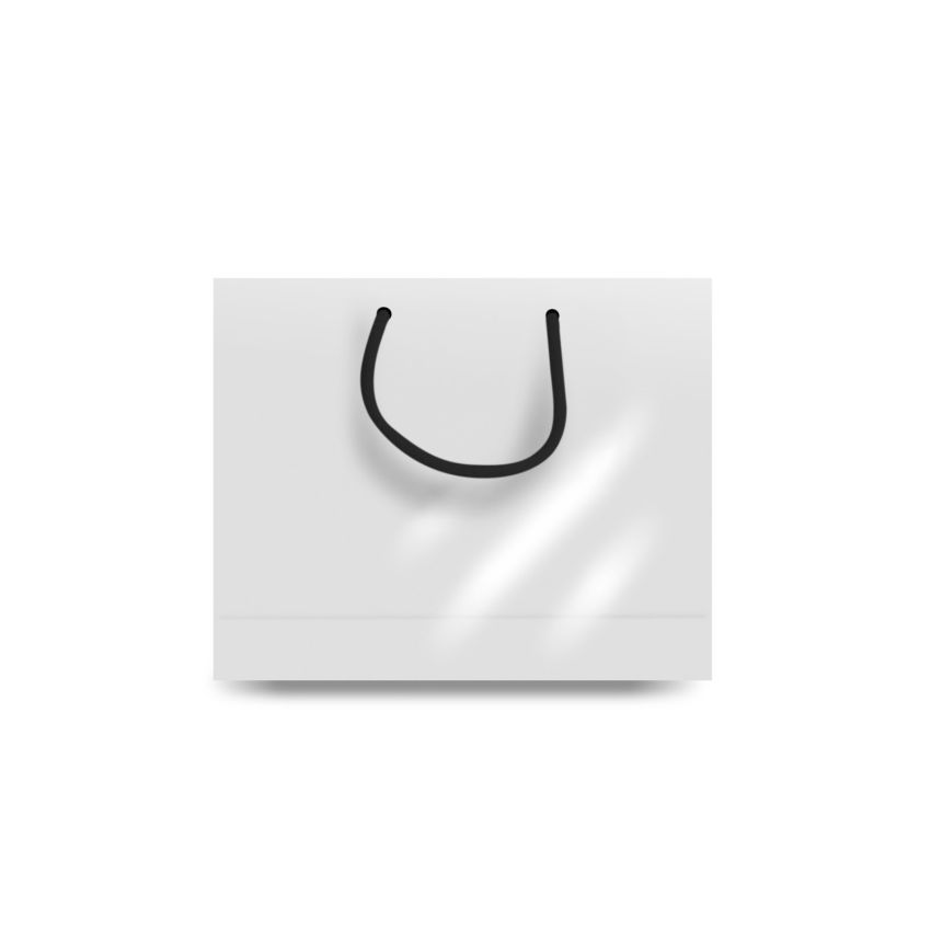 MiniBag Small Paper Bag, Horizontal, Glossy