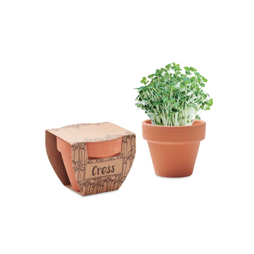 Cress seeds in a pot