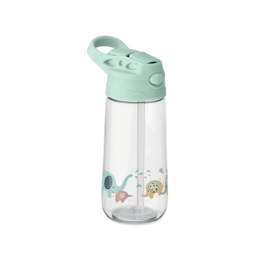 450 ml Tritan Bottle