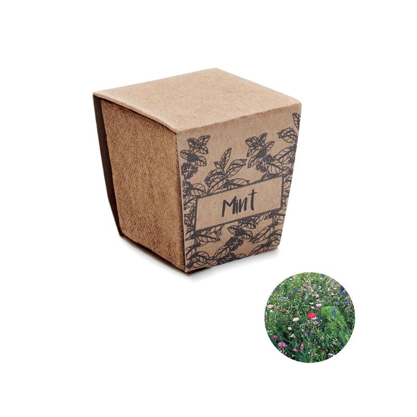 Mint seed growing kit
