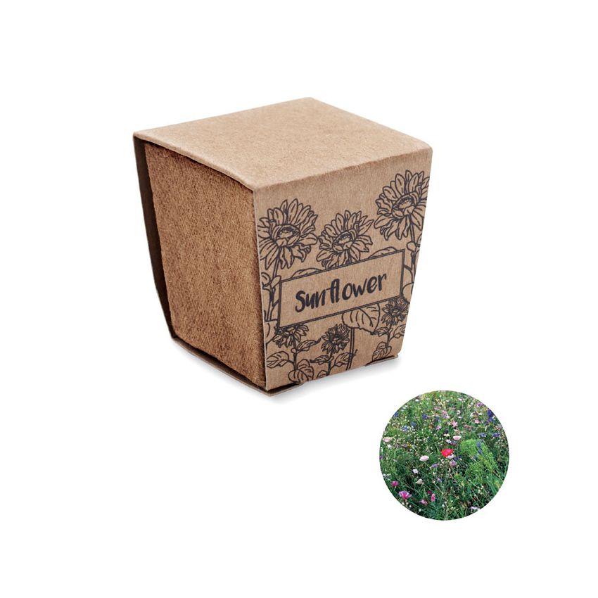 Sunflower growing kit