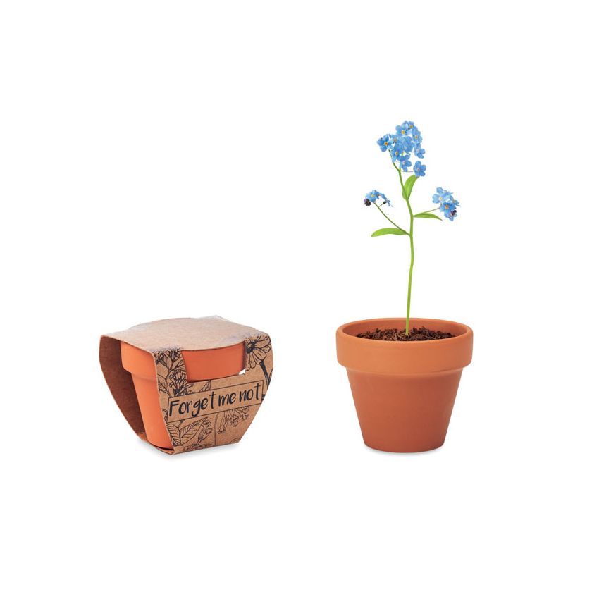 Terracotta vase 'myosotis'