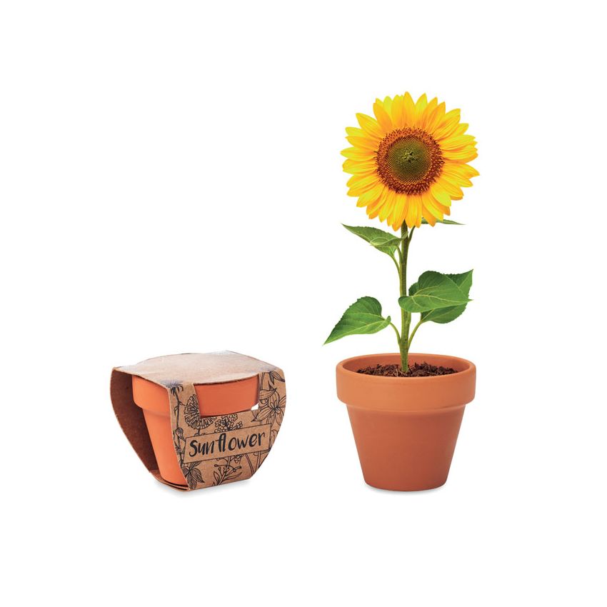 Terracotta vase 'sunflower'