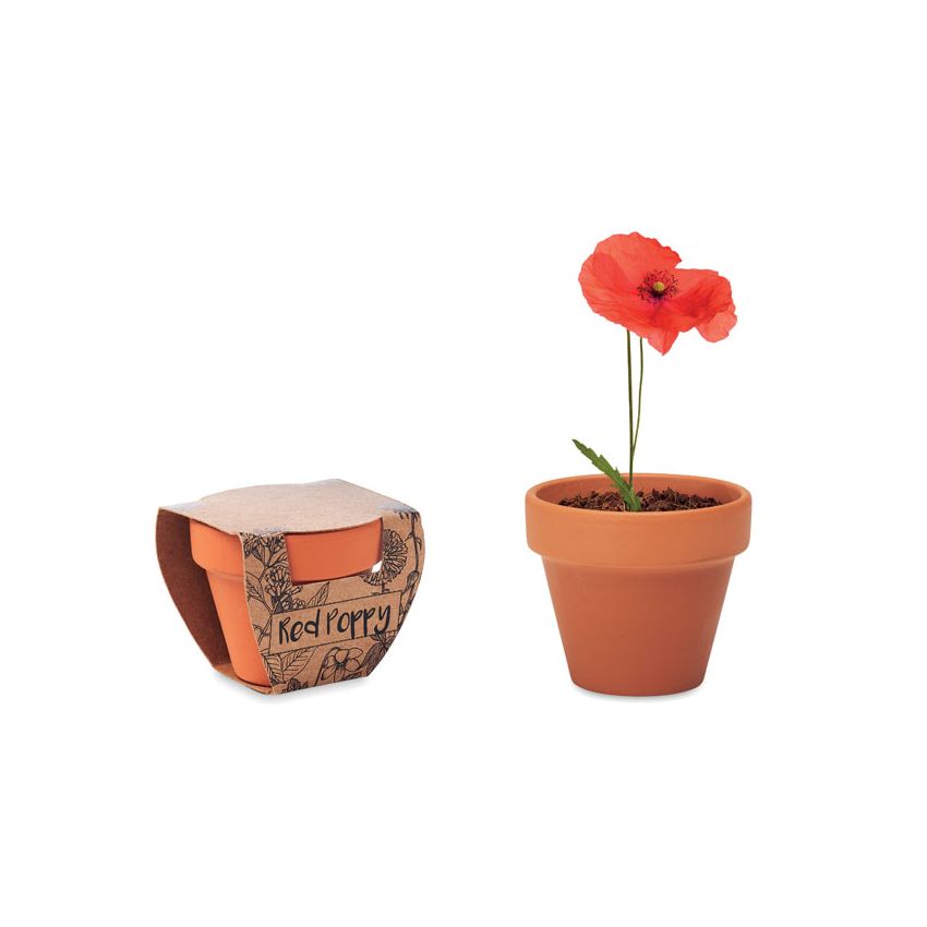 Terracotta vase 'poppy'