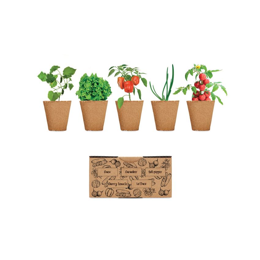 Salad growing kit