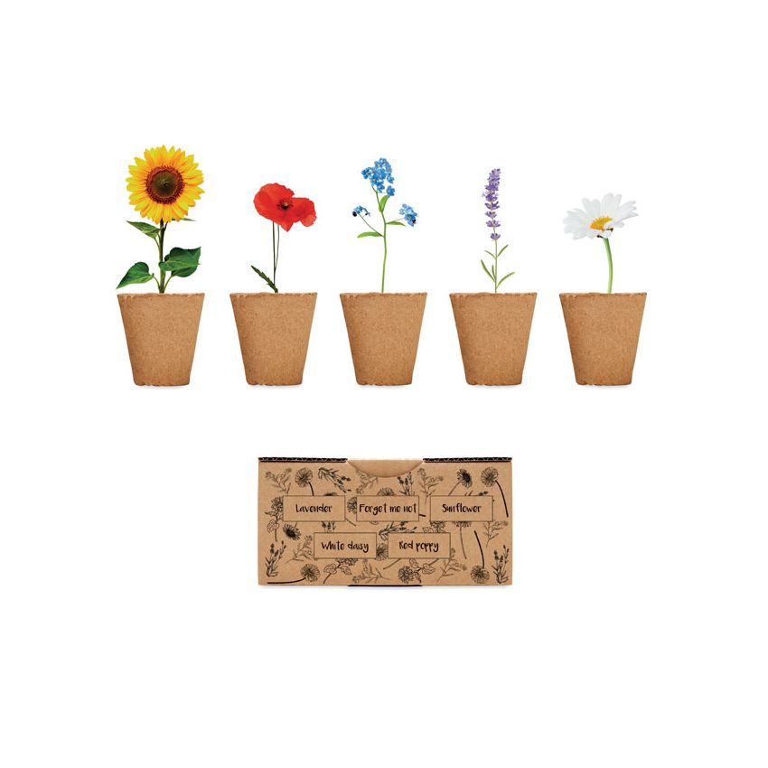 Flower growing kit